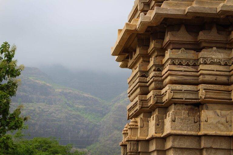 Understanding the Role of Political Fundraisers