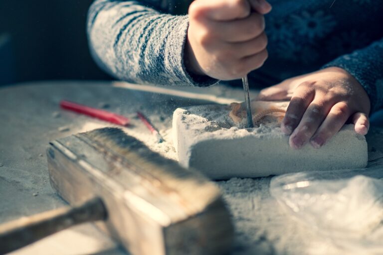 Understanding the Role of Play in Early Childhood Mathematics Education