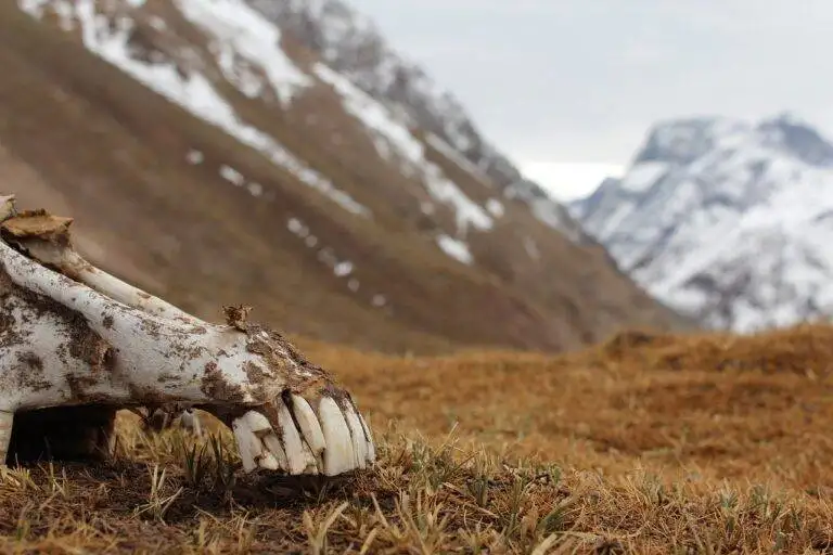 Cultural Sensitivity While Traveling