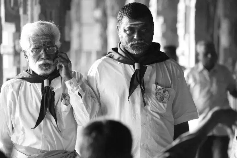 Exploring the Effects of Election Campaign Season on Local Economies