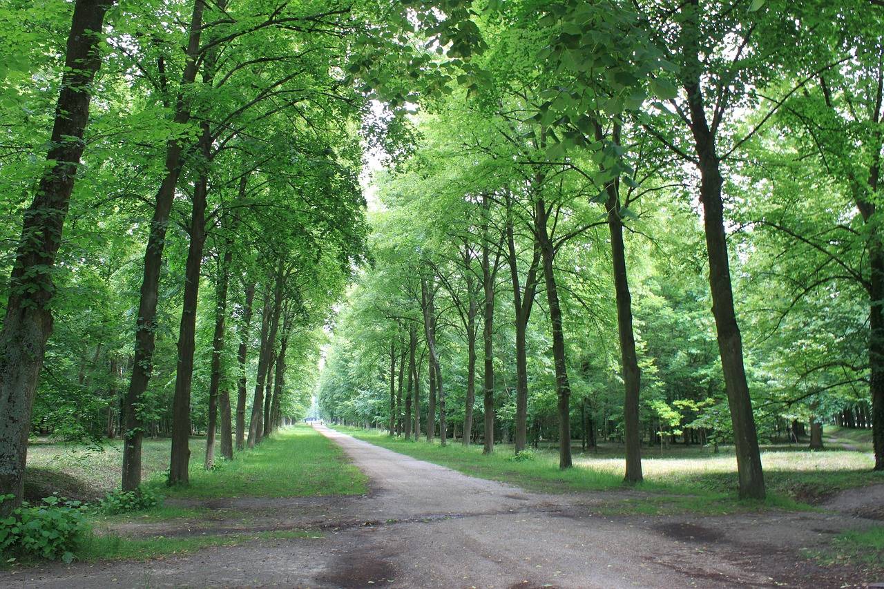 Top 10 Tips for Effective Customer Retention