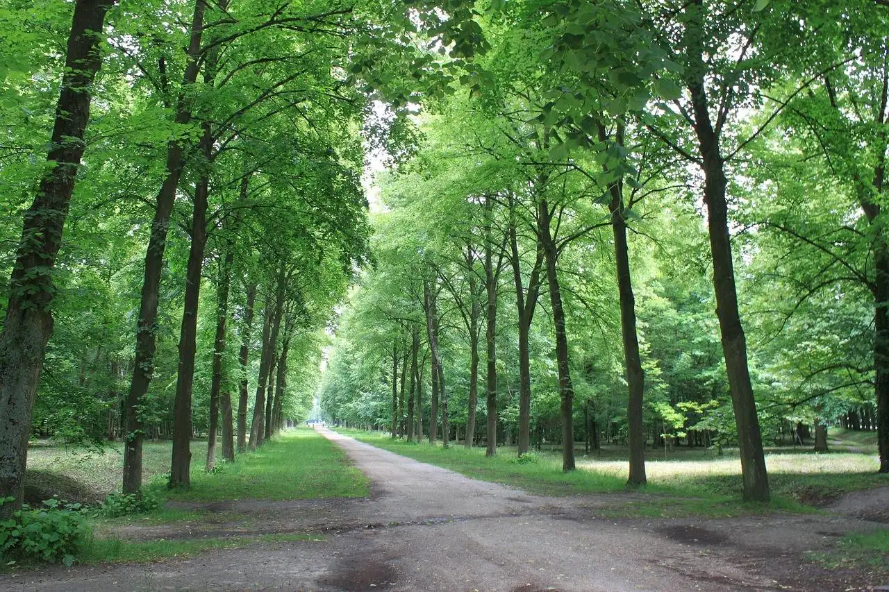 Top 10 Tips for Effective Customer Retention