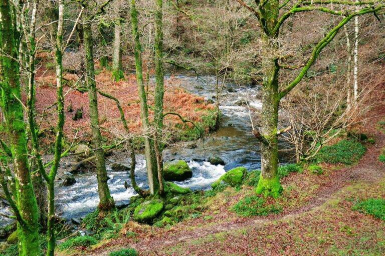 Travel Photography Tips for Capturing Memorable Moments