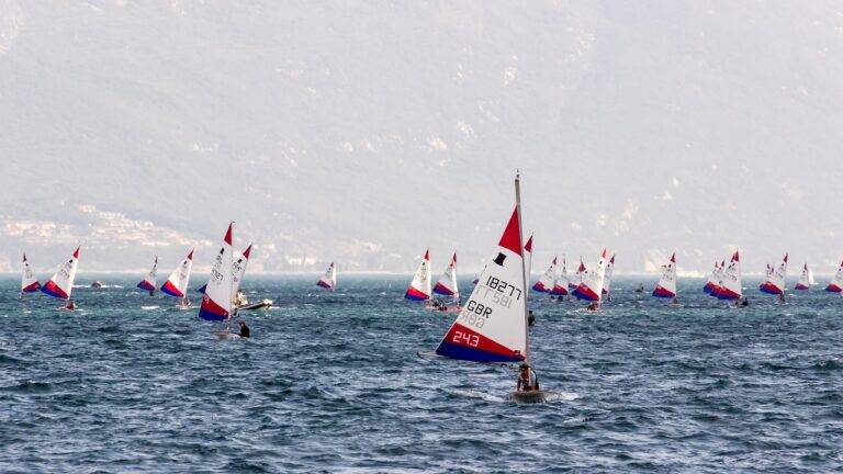 The Psychology of IPL Fan Loyalty: Factors Influencing Fanaticism